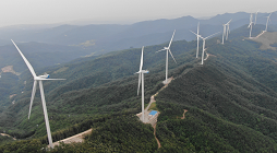 양양풍력 : 46.2MW